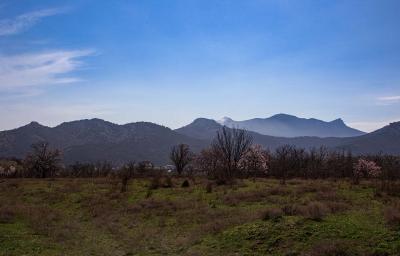 Прикрепленное изображение: IMG_7746.jpg